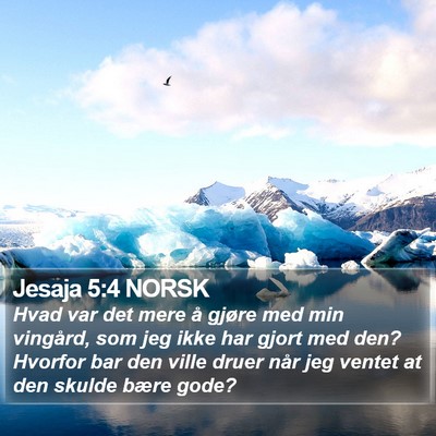 Jesaja 5:4 NORSK Bible Verse Image