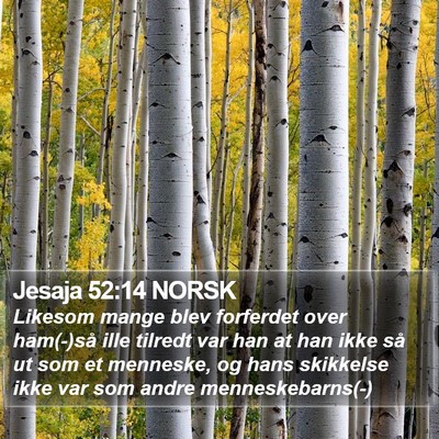 Jesaja 52:14 NORSK Bible Verse Image