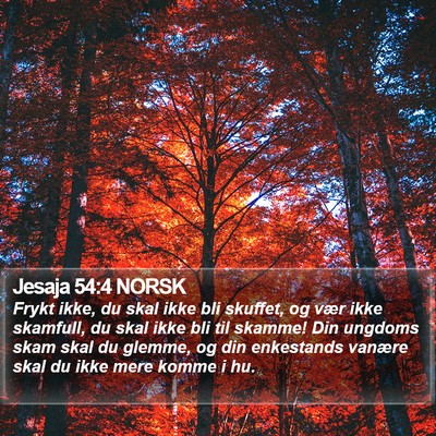 Jesaja 54:4 NORSK Bible Verse Image