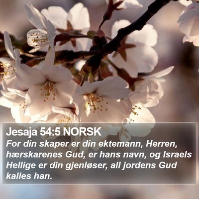 Jesaja 54:5 NORSK Bible Verse Image