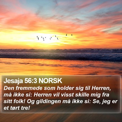Jesaja 56:3 NORSK Bible Verse Image