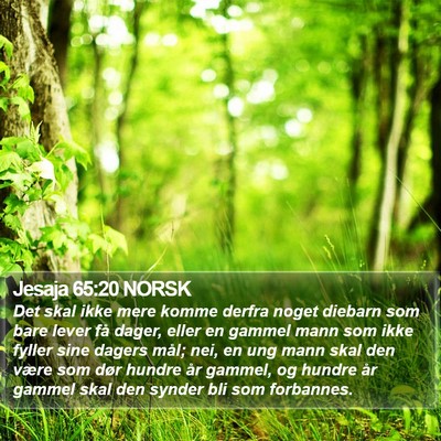 Jesaja 65:20 NORSK Bible Verse Image