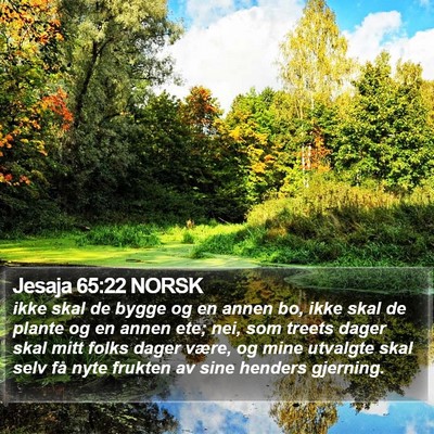 Jesaja 65:22 NORSK Bible Verse Image
