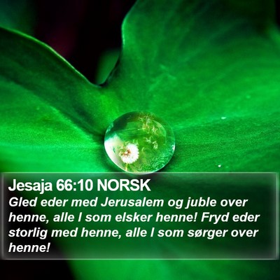Jesaja 66:10 NORSK Bible Verse Image