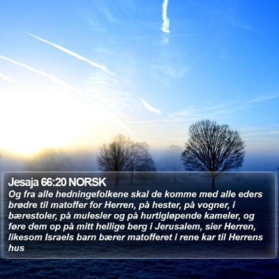 Jesaja 66:20 NORSK Bible Verse Image