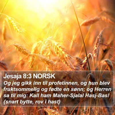 Jesaja 8:3 NORSK Bible Verse Image