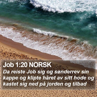 Job 1:20 NORSK Bible Verse Image