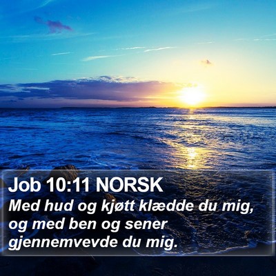 Job 10:11 NORSK Bible Verse Image
