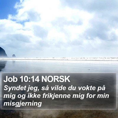 Job 10:14 NORSK Bible Verse Image