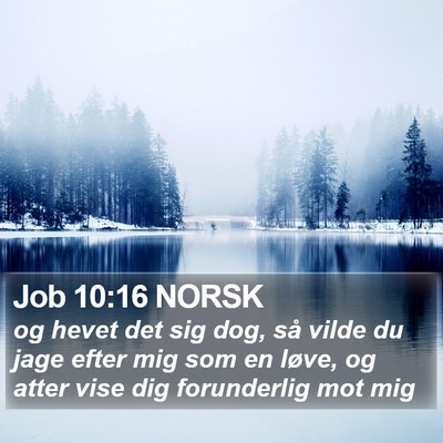 Job 10:16 NORSK Bible Verse Image