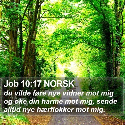 Job 10:17 NORSK Bible Verse Image