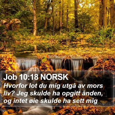 Job 10:18 NORSK Bible Verse Image