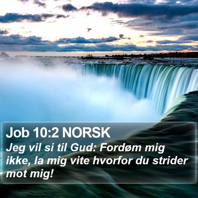 Job 10:2 NORSK Bible Verse Image