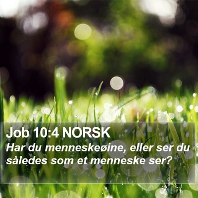 Job 10:4 NORSK Bible Verse Image