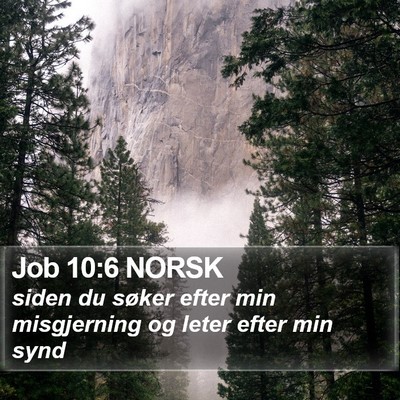 Job 10:6 NORSK Bible Verse Image