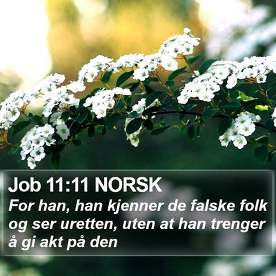 Job 11:11 NORSK Bible Verse Image