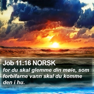 Job 11:16 NORSK Bible Verse Image