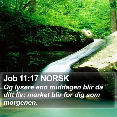 Job 11:17 NORSK Bible Verse Image