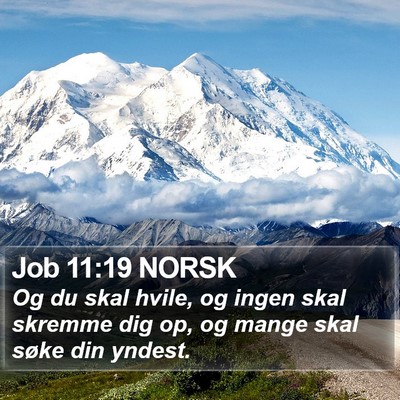Job 11:19 NORSK Bible Verse Image