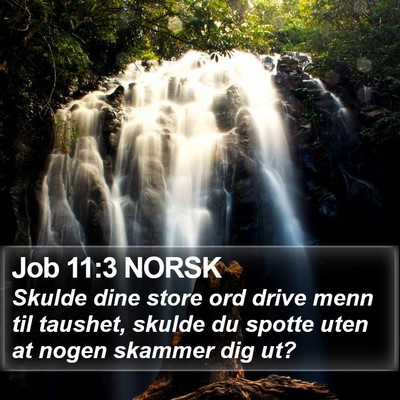 Job 11:3 NORSK Bible Verse Image