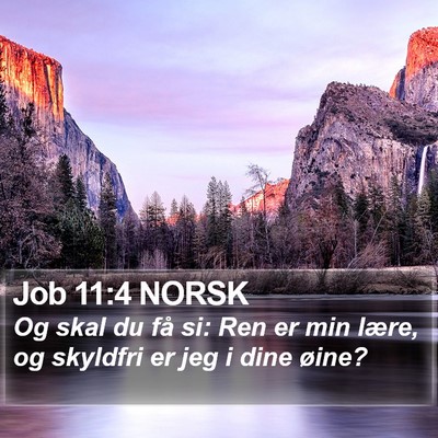 Job 11:4 NORSK Bible Verse Image