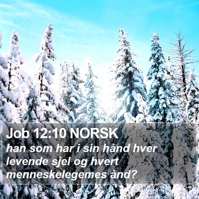 Job 12:10 NORSK Bible Verse Image