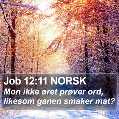 Job 12:11 NORSK Bible Verse Image