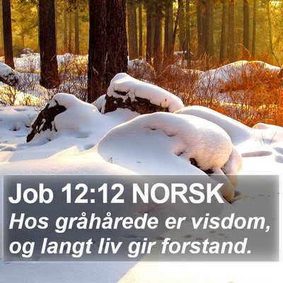 Job 12:12 NORSK Bible Verse Image