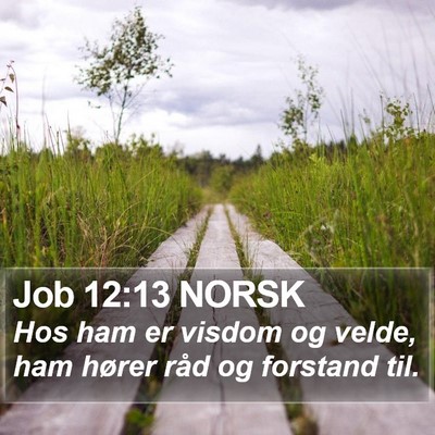 Job 12:13 NORSK Bible Verse Image