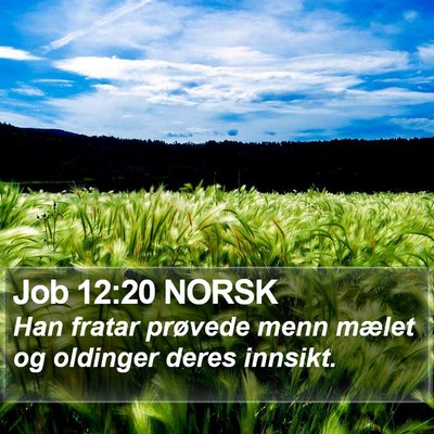 Job 12:20 NORSK Bible Verse Image