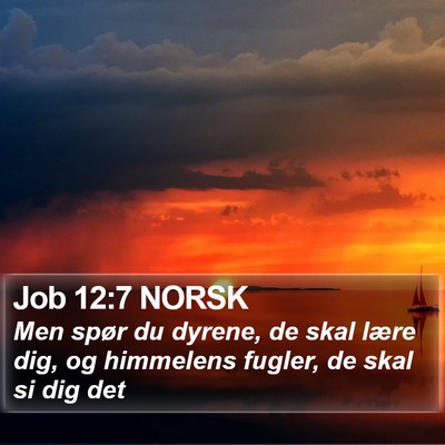 Job 12:7 NORSK Bible Verse Image