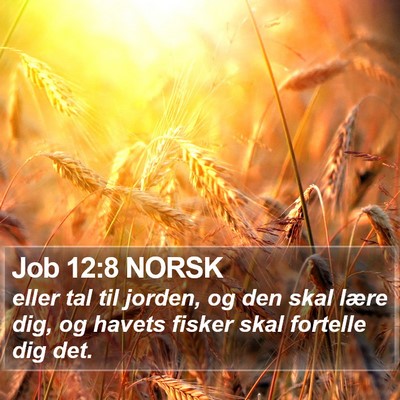 Job 12:8 NORSK Bible Verse Image