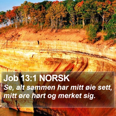 Job 13:1 NORSK Bible Verse Image