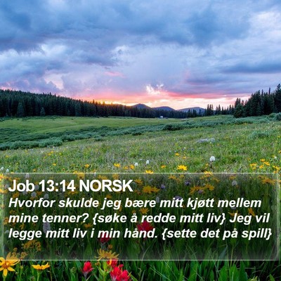 Job 13:14 NORSK Bible Verse Image