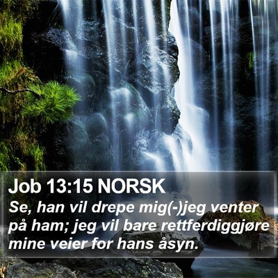Job 13:15 NORSK Bible Verse Image