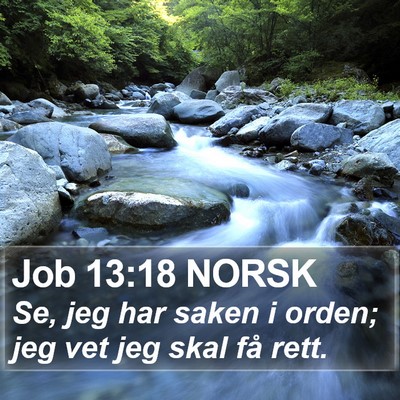 Job 13:18 NORSK Bible Verse Image