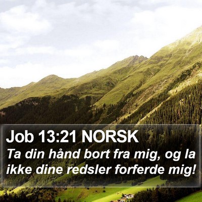 Job 13:21 NORSK Bible Verse Image