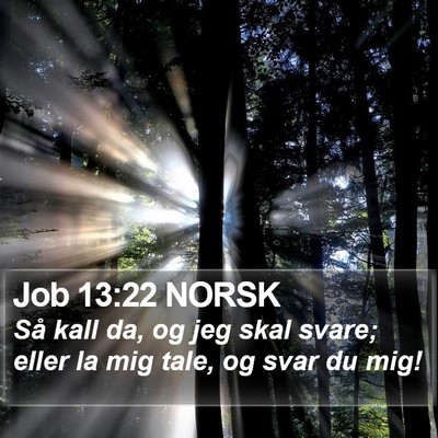 Job 13:22 NORSK Bible Verse Image