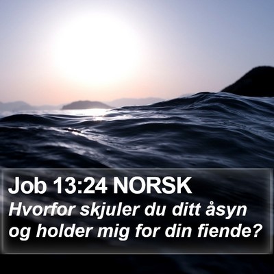 Job 13:24 NORSK Bible Verse Image