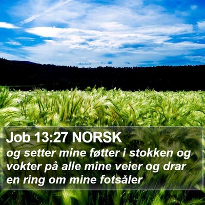 Job 13:27 NORSK Bible Verse Image
