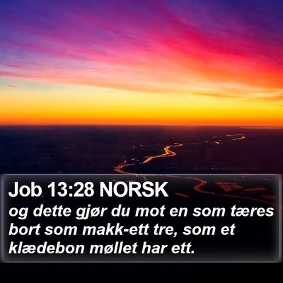 Job 13:28 NORSK Bible Verse Image