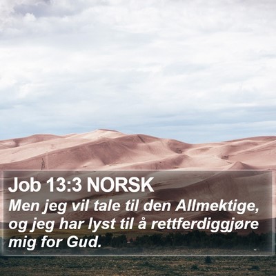 Job 13:3 NORSK Bible Verse Image