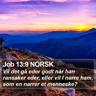 Job 13:9 NORSK Bible Verse Image
