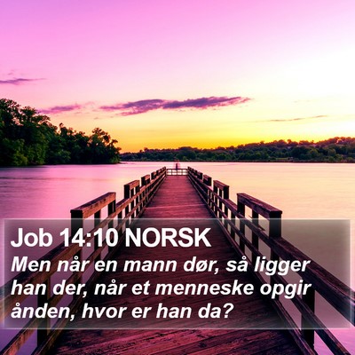 Job 14:10 NORSK Bible Verse Image
