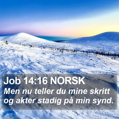 Job 14:16 NORSK Bible Verse Image
