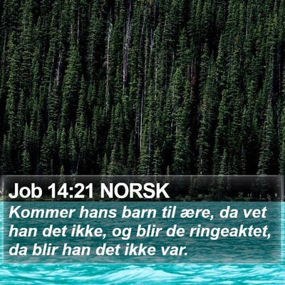 Job 14:21 NORSK Bible Verse Image
