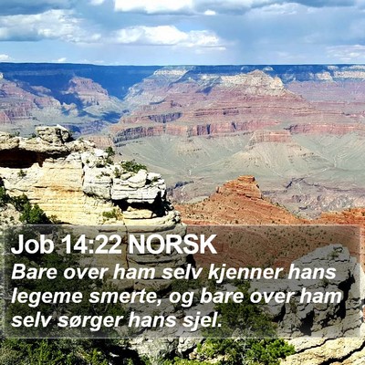 Job 14:22 NORSK Bible Verse Image