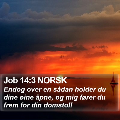 Job 14:3 NORSK Bible Verse Image
