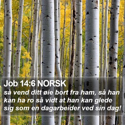 Job 14:6 NORSK Bible Verse Image