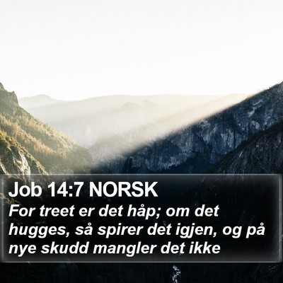 Job 14:7 NORSK Bible Verse Image